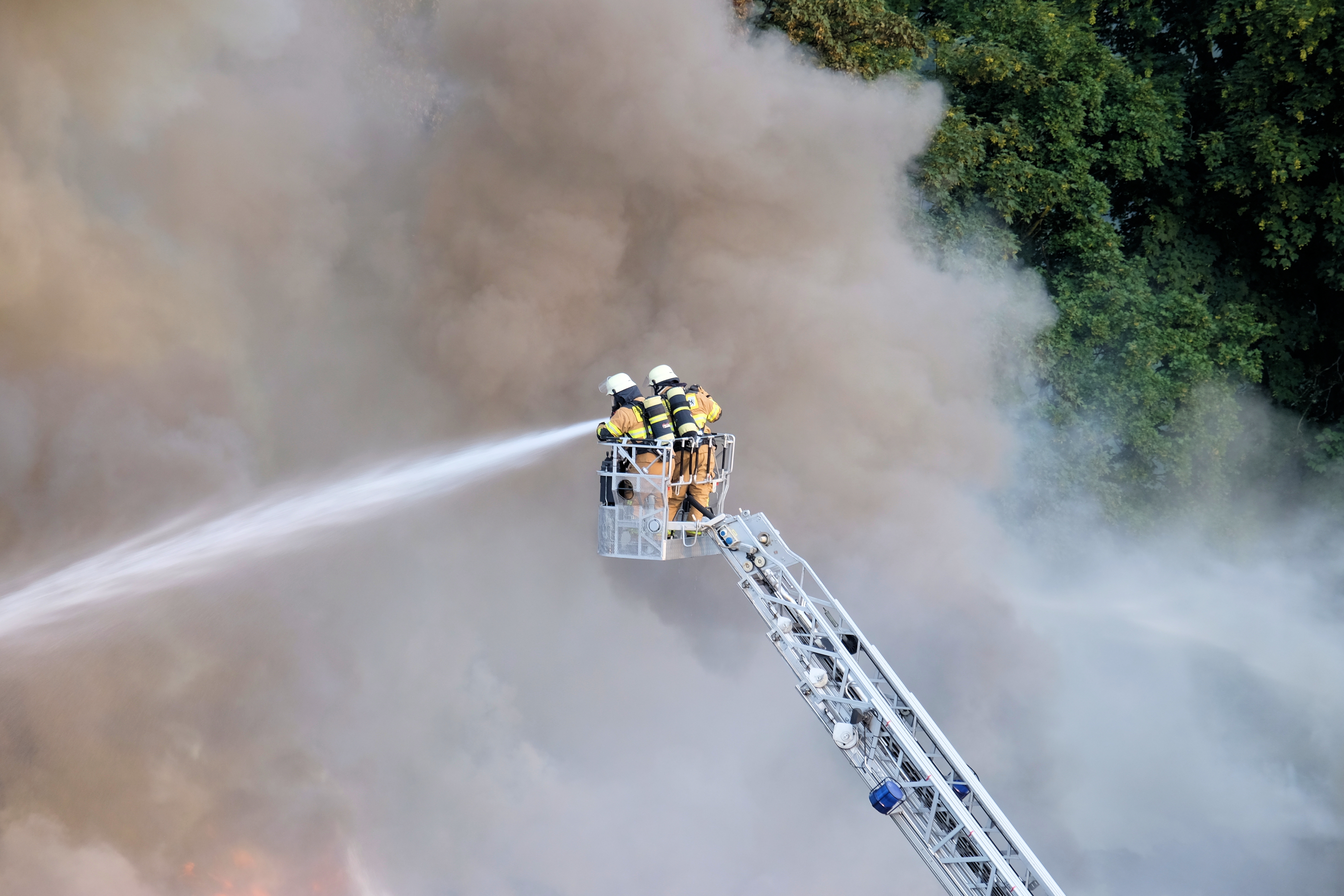 Field Services